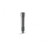 Screw for Conical Platform Abutments